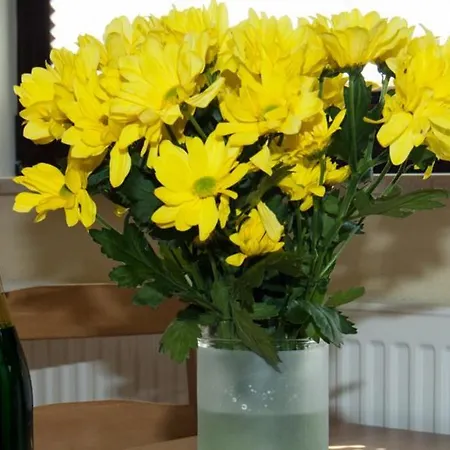 Ferienappartement Sonne In Gager